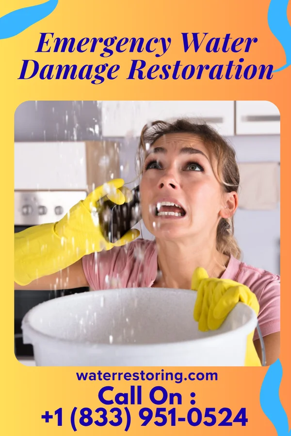 Emergency Water Damage Restoration in Camden, DE