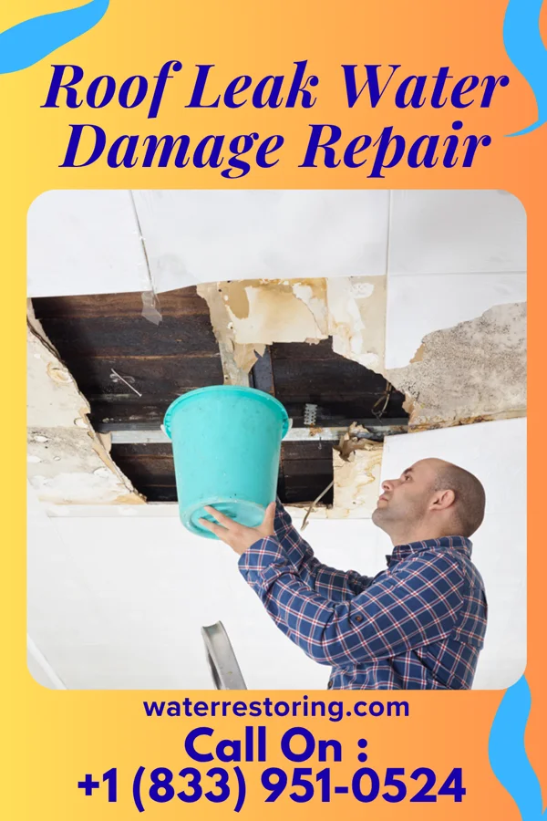 Roof Leak Water Damage Repair in Camden, DE